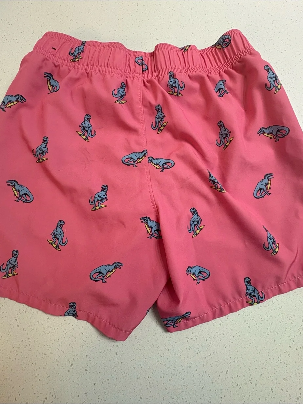 Hollister Pink Surfing Dinosaur Swim Trunks Size XS